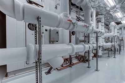 Backflow Basics (Front Royal)